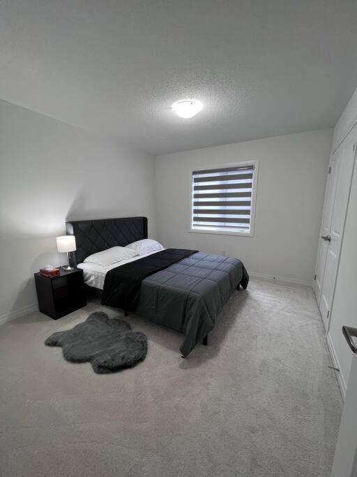 Brand New 4 Bedroom By Airport! Hamilton