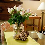 Homestead House B&B