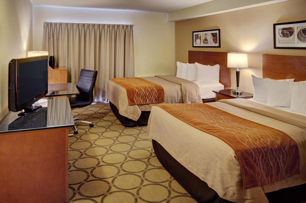 Comfort 3* Hamilton