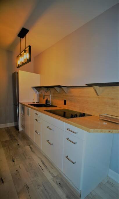 Brand New 1 Bedroom Centrally Located Hamilton