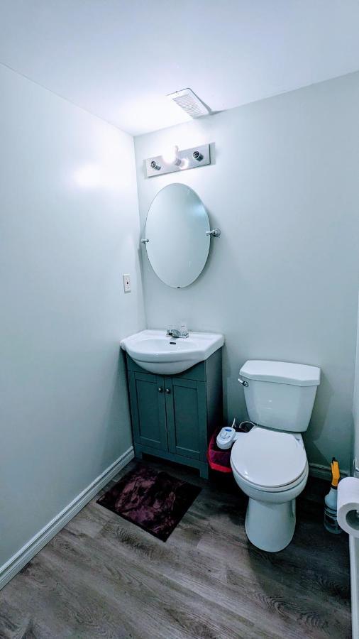 Apartment Small Haven With Sunlit Garden, Bsmt Hamilton