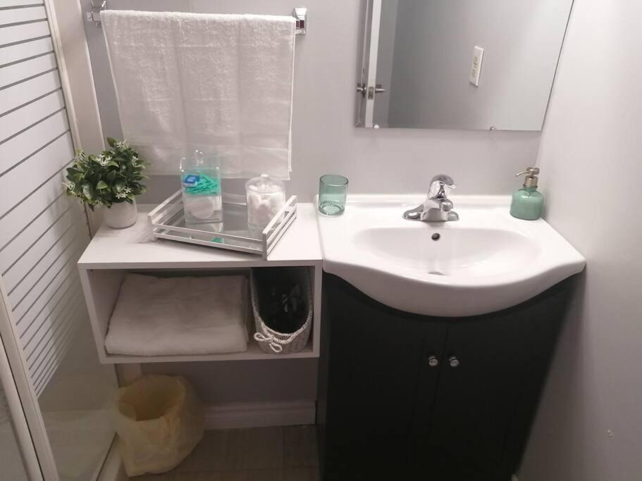 Cozy Nest Basement Unit