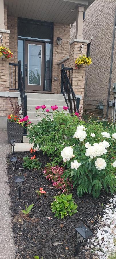 Homestay Jahsavvy's Nest Hamilton