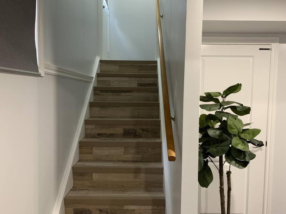*cozy, Newly Renovated, Fully Equipped* *
