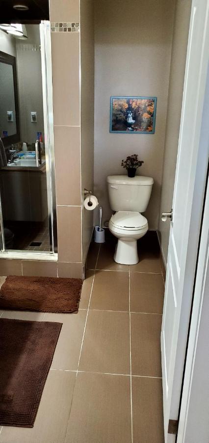 Spacious Guest Apartment Hamilton