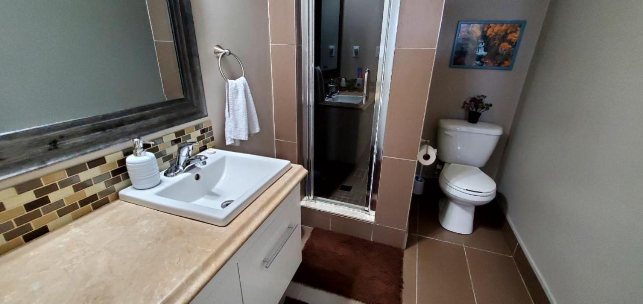 Spacious Guest Apartment Hamilton