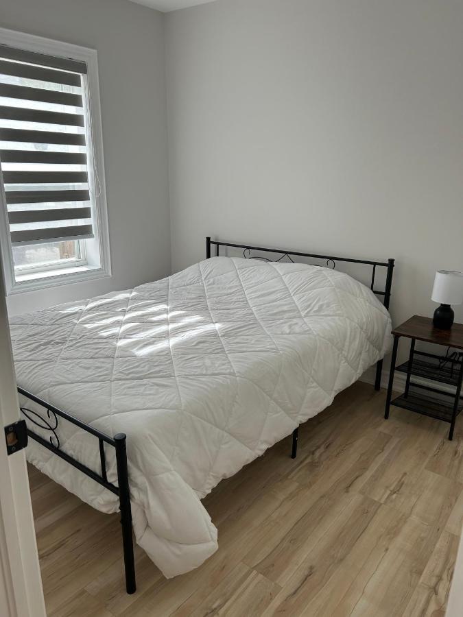 Brand New In Hamilton