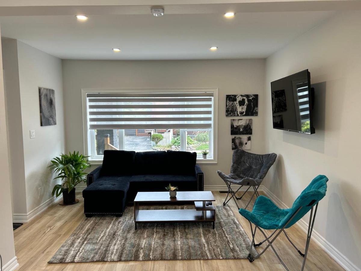 Brand New In Hamilton