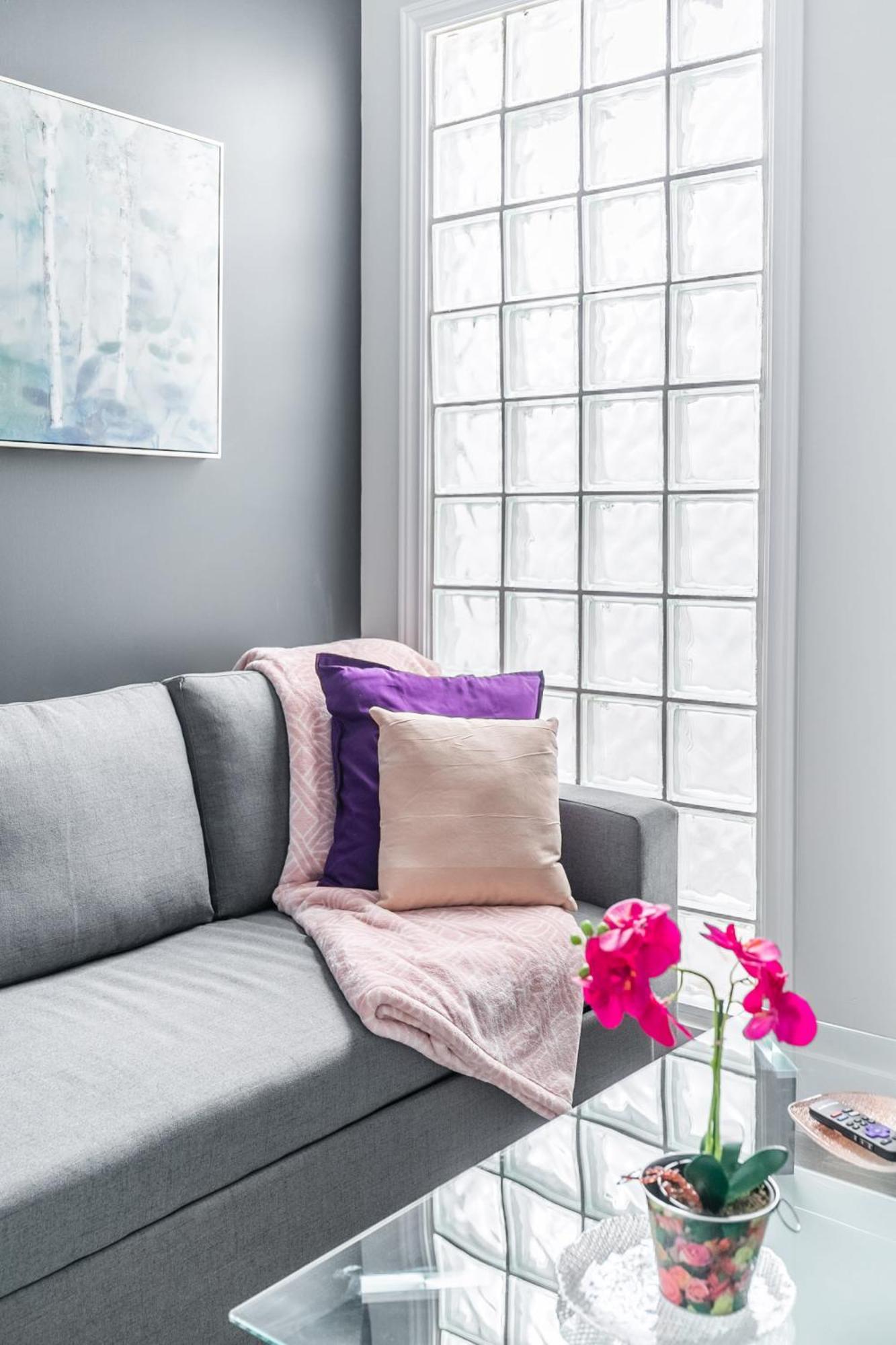 1br In Hamilton's Neighbourhood Apartment *