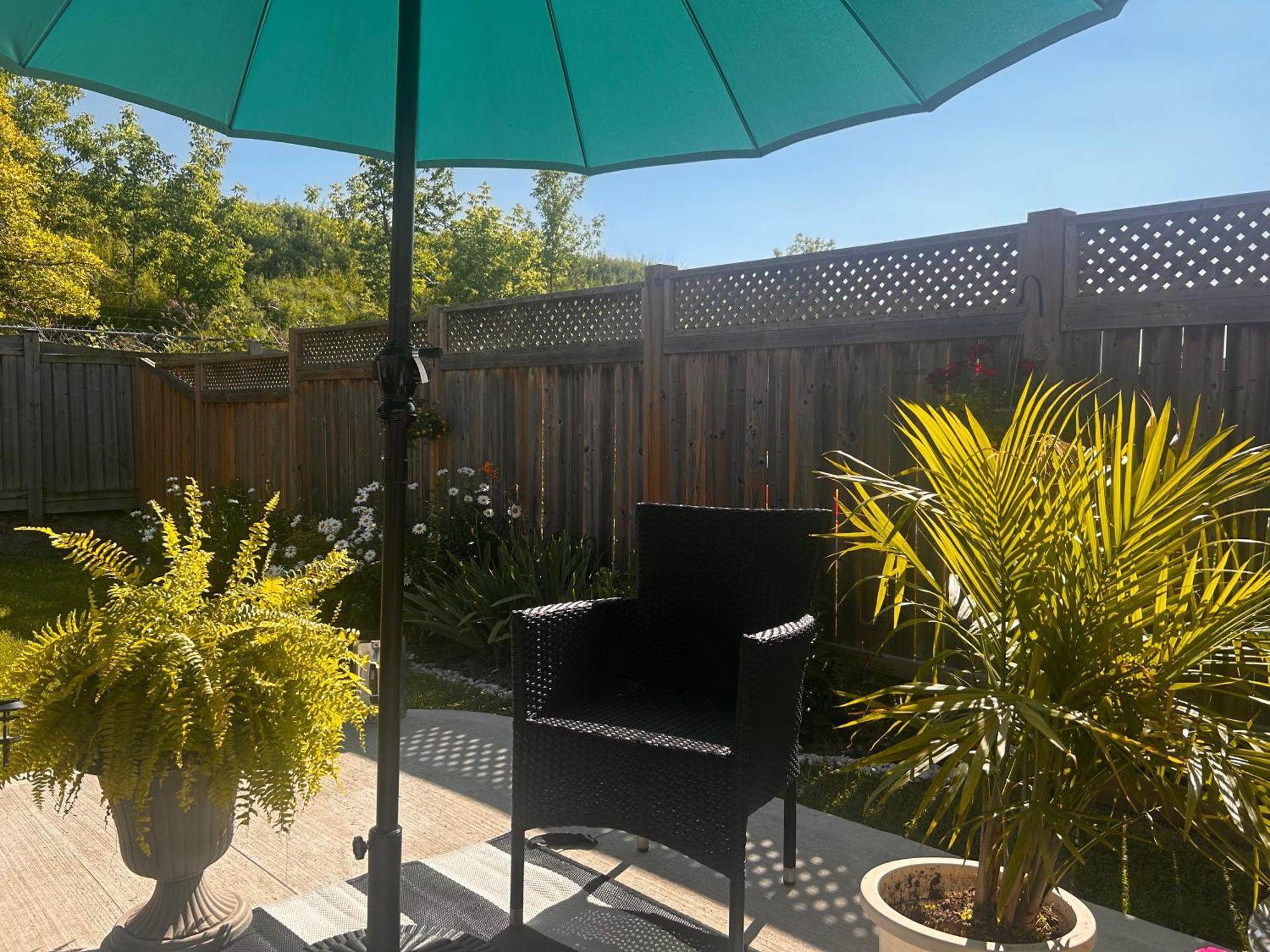 Homestay Jahsavvy's Nest Hamilton