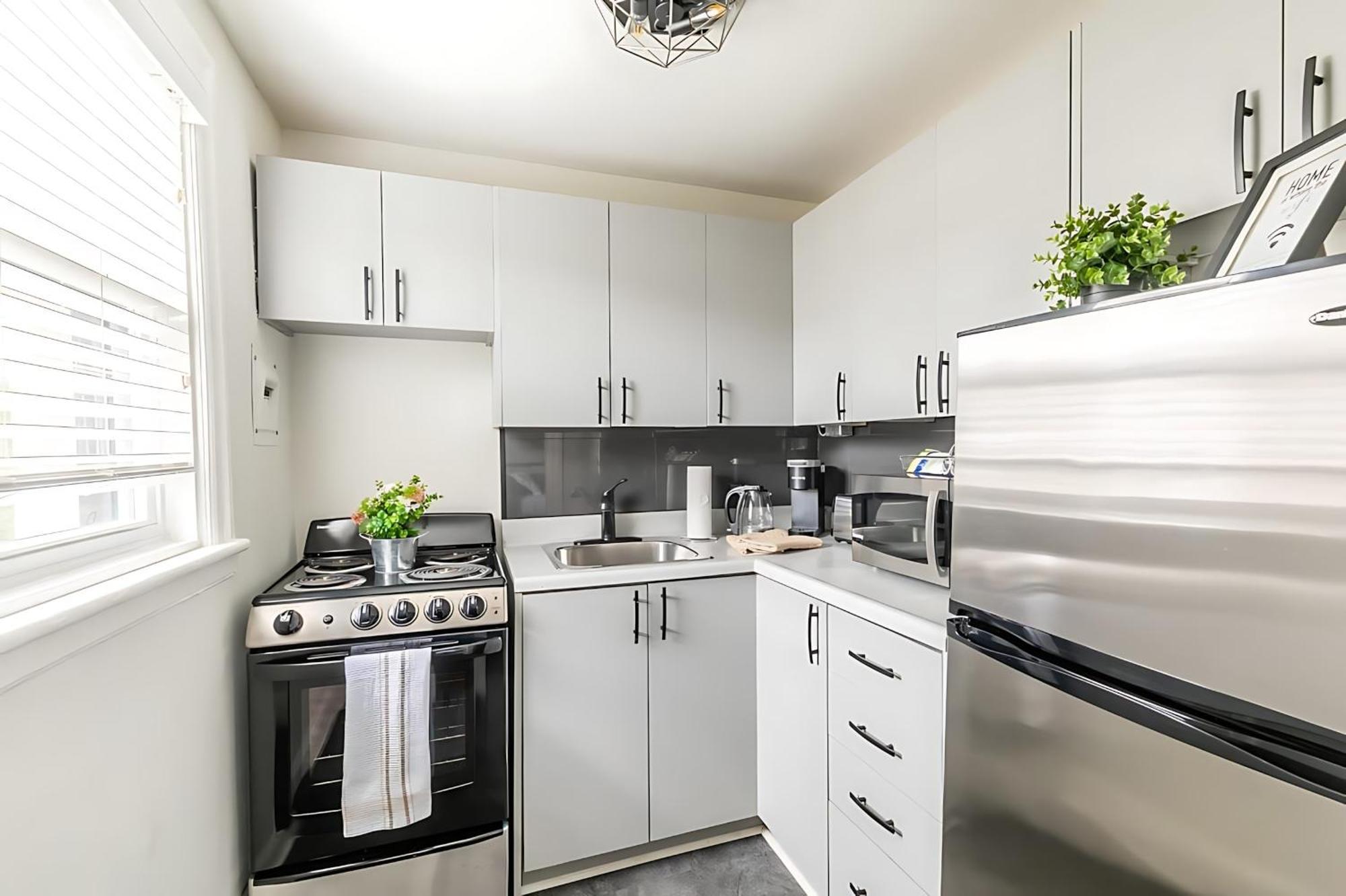 Apartment Modern 1br - South Hamilton