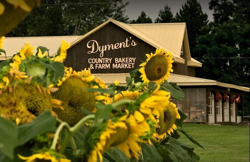 Country Roads Dwelling Hamilton