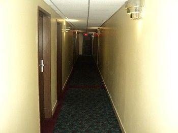 Inn Budget 2000 Hamilton