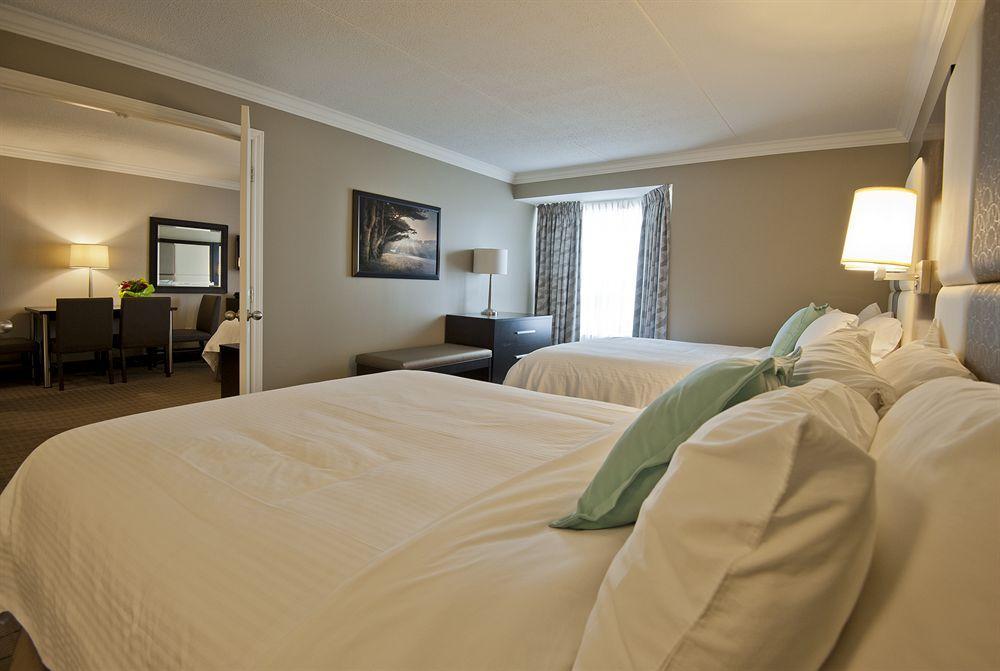Visitor's 4* Hamilton