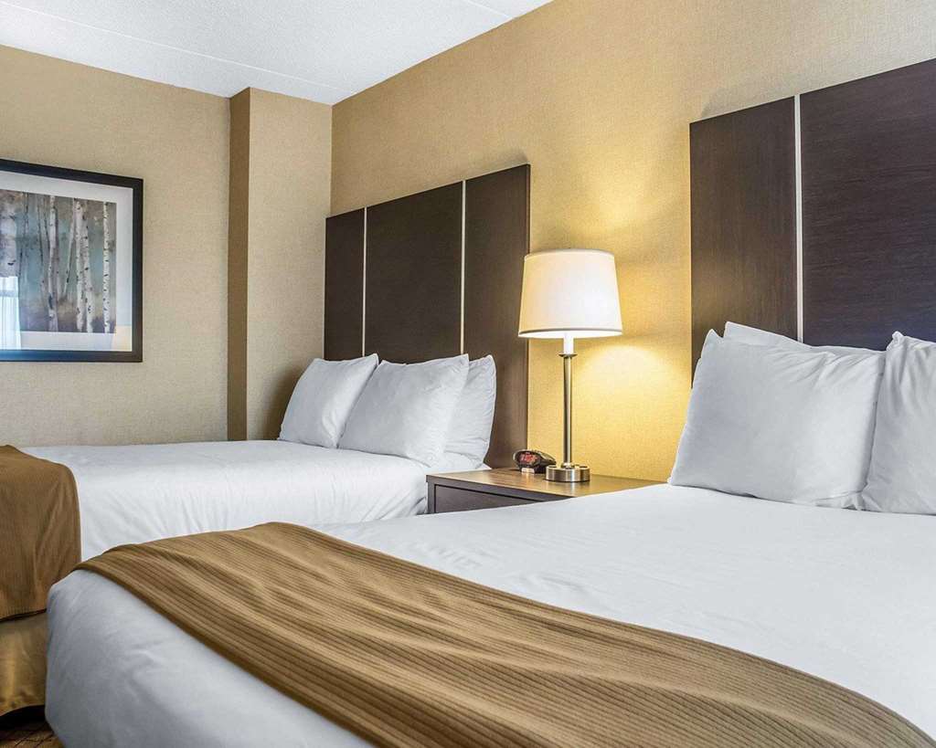 Hotel Four Points By Sheraton - Stoney Creek Hamilton