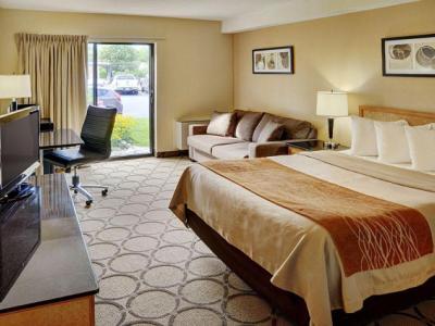 Comfort 3* Hamilton