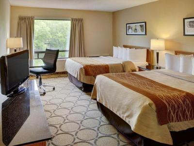 Comfort 3* Hamilton