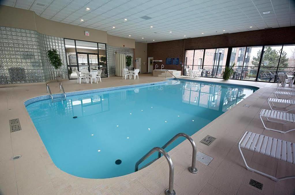 Visitor's 4* Hamilton