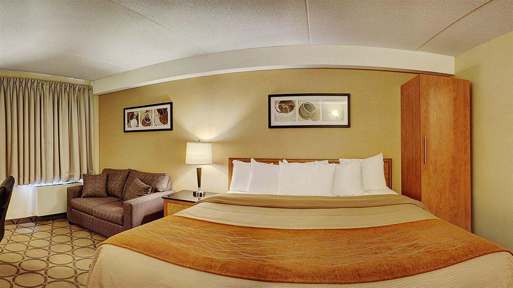 Comfort 3* Hamilton