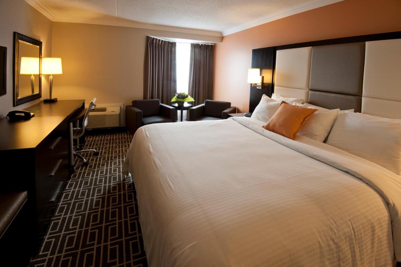 Hotel Visitor's