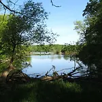 Mcmaster University
