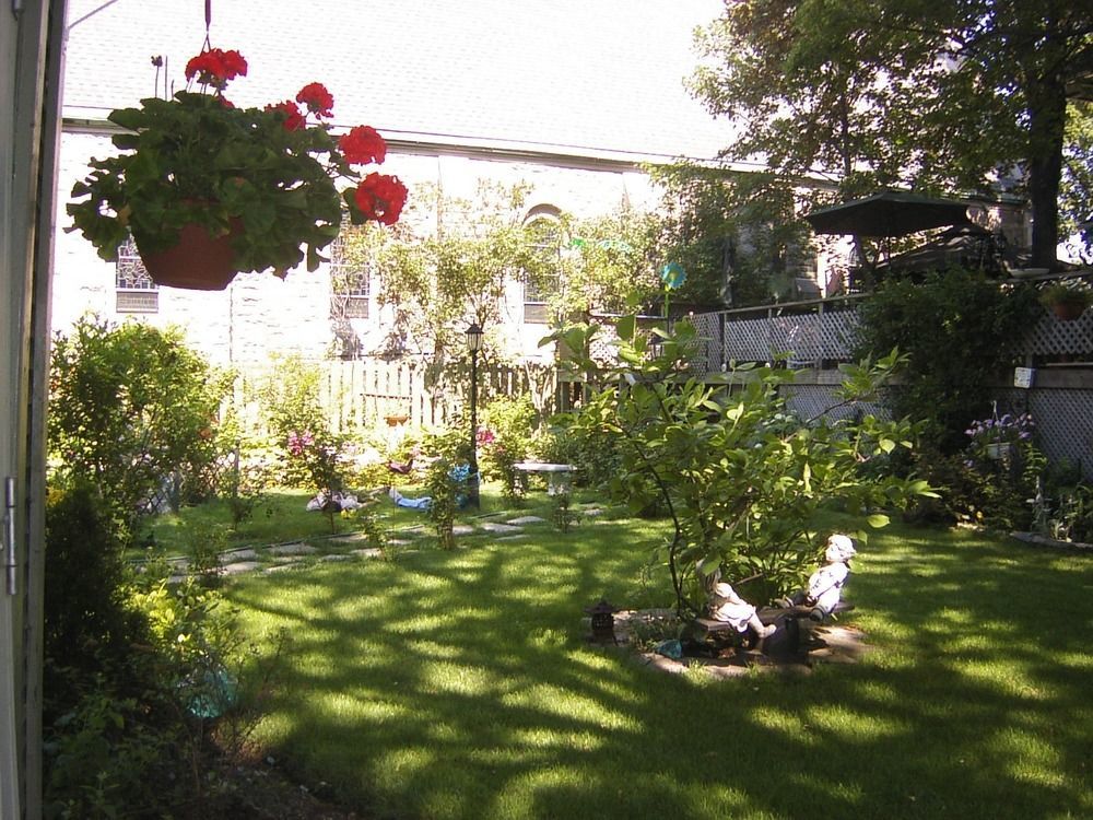Rose Arden 3*